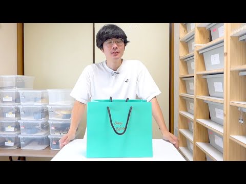 爬虫類イベントで蛇を買ってきたので紹介します(YouTube)