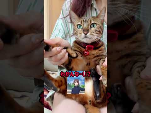 ひゅーとやってひょい🖕 #shorts #呪術廻戦(YouTube)