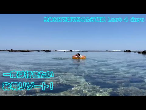 天国に1番近い島かも 生後3日で棄てられた子猫達 Last 4 days(YouTube)