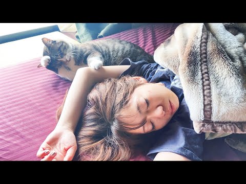 猫が頭を抱えるほどママの寝相が悪いので空いてる場所を有効活用(YouTube)