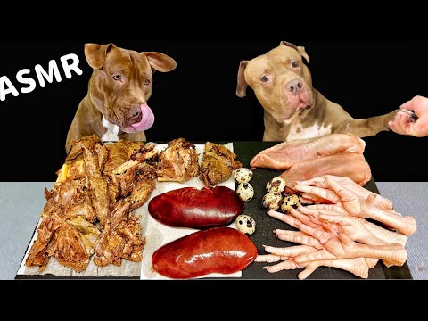 骨と肉を食べるピットブルの咀嚼音がクセになる【犬のASMR】(YouTube)