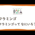 フラミンゴ　フラミンゴって なにいろ？(YouTube)