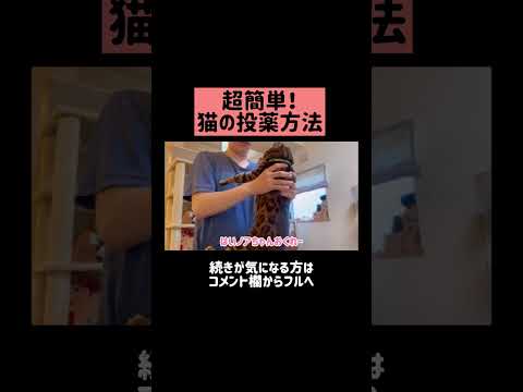 猫のお薬はこうやって飲ませます💊 #shorts(YouTube)