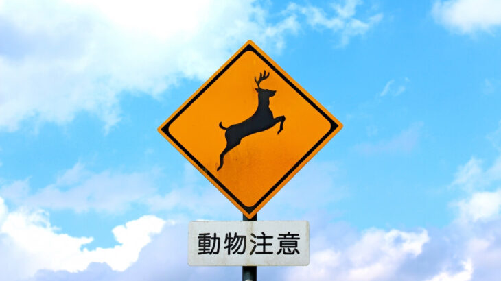 これは安全運転しちゃう！台湾で見かけた猫の道路標識が可愛いすぎると話題に→間近で目撃した日本人に話を聞いてみた(ブログ)