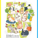 秋のうさぎイベント　パート１(ブログ)