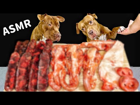 【閲覧注意⚠️】骨付き肉をボリボリ食べるピットブルの咀嚼音が最高すぎる(YouTube)
