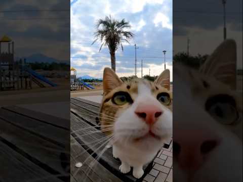 おやつ持ってるの〜！？？(YouTube)