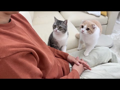 1年ぶりに友人が遊びにきたら人気者すぎてまさかの展開になりました…笑(YouTube)