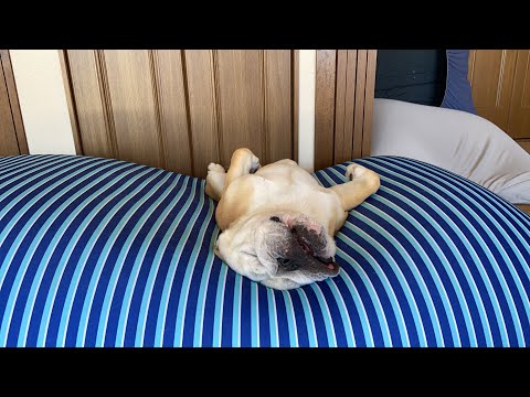 体力温存中なので本番では元気なはず…（笑）乞うご期待‼︎(YouTube)