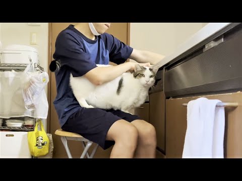 休日の午前中は息子と遊んであげる猫(YouTube)