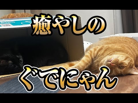 y#170(YouTube)