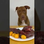 生肉を豪快に食べるピットブル(YouTube)