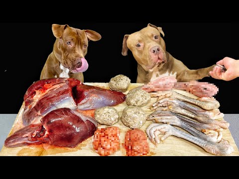 【犬のASMR】骨付き肉をボリボリ噛み砕く咀嚼音がクセになる動画(YouTube)