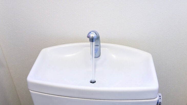 「そこは寝る場所じゃないw」「猫は液体だから流されちゃうよ！」トイレタンクの上で眠る猫ちゃんのカワイイ姿がSNSで大反響(ブログ)