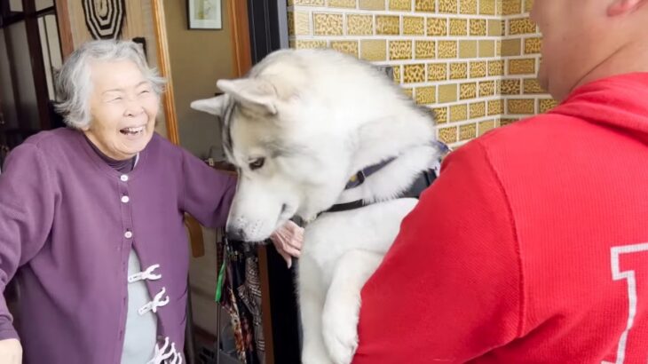犬嫌いなおばあちゃんの家にお泊り！意外な反応に「微笑ましい気持ちになった」「2人とも可愛い」絶賛の声(ブログ)