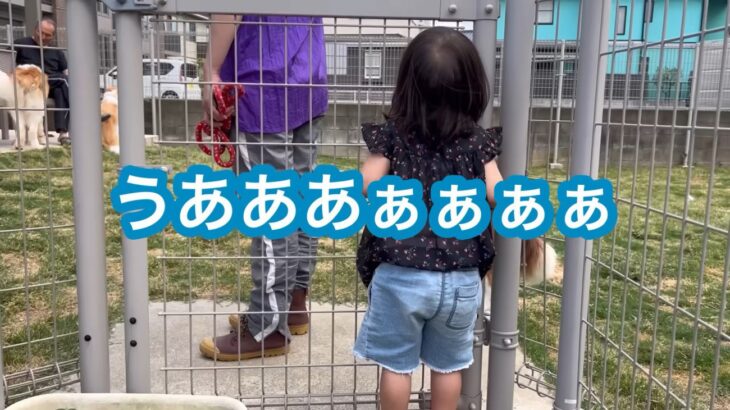 まるで今生の別れ…！愛犬をペットサロンに預けただけで号泣する女の子「それだけ大切な存在」「思わず一緒に泣いてしまいました」(ブログ)