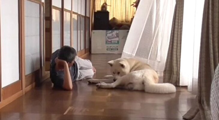 秋風がそよぐ廊下で、飼い主に戯れられる秋田犬が可愛い♡「ほっこり和む」「幸せな時間」との声続々(ブログ)