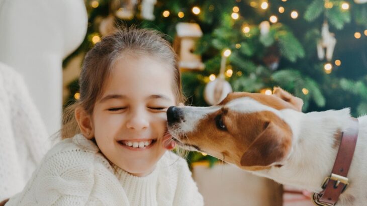 愛犬が他人の顔を舐めてしまうのはなぜ？　その理由と対策に「叱るのも何か違うしなと思ってた」「今度試してみる」(ブログ)