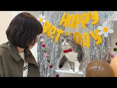 超有名YouTuberが誕生日をお祝いしに来たら大喜びな猫がかわいすぎました笑(YouTube)