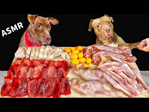 【食欲がでるASMR】生肉を食べるピットブルの咀嚼音がクセになる(YouTube)
