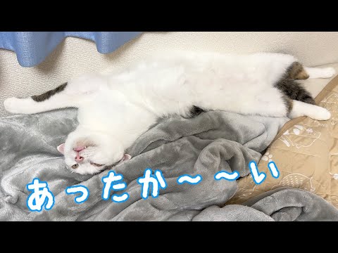 娘の部屋の暖房つけたらこうなりましたｗｗ(YouTube)