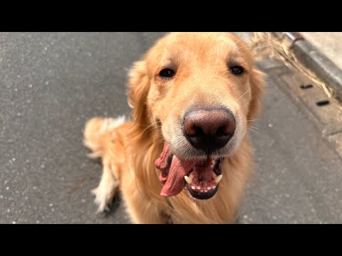 アムロは最近いうことを聞きます(YouTube)