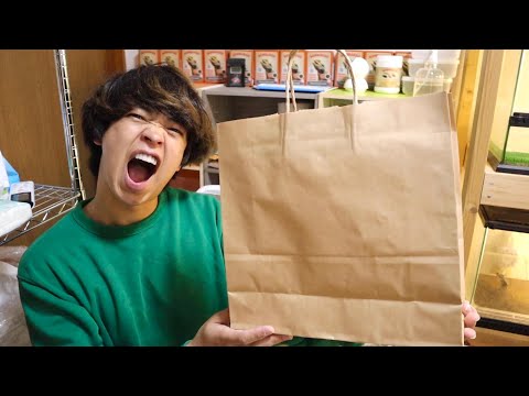 世界に1匹のカメをお迎えしました(YouTube)