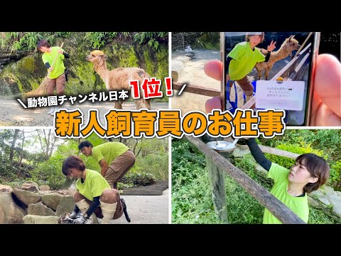 チャンネル登録者日本1位の動物園に入社した、新人飼育員のお仕事ルーティン(YouTube)