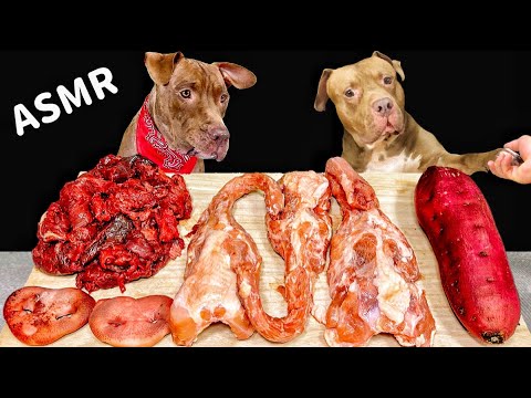 【骨が砕ける咀嚼音】生肉や骨を噛み砕く音がクセになる(YouTube)