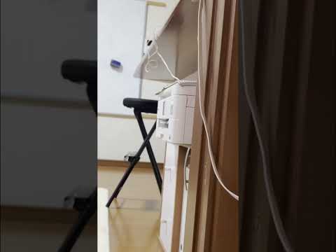 目が合うだけで来てくれる幸せ(YouTube)