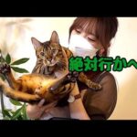 手術するかどうか決めに行きます(YouTube)