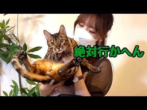 手術するかどうか決めに行きます(YouTube)