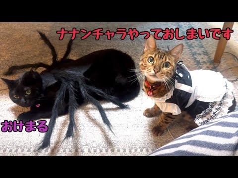 最凶ベルメイドがナナンチャラがオヤツを恐喝してきます(YouTube)