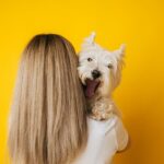 犬が『居心地が悪い』と感じる飼い主の行動５選　やりがちなことに「無意識だったかも…」「改めたい」(ブログ)