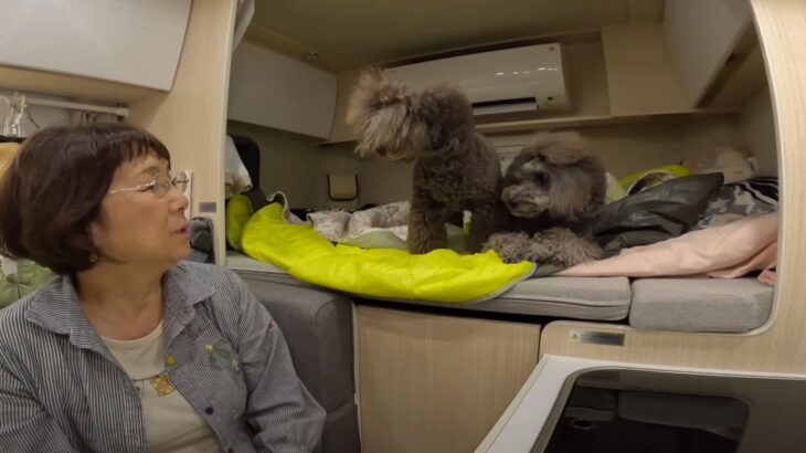 60代女性と愛犬がキャンピングカーで車中泊！旅を満喫する姿に「見ていてワクワクする」「めっちゃ楽しそう♪」(ブログ)