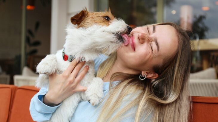 犬に顔を舐められるのは危険？　キスをするリスク4つと注意点に「知っておくことは必要かも」(ブログ)