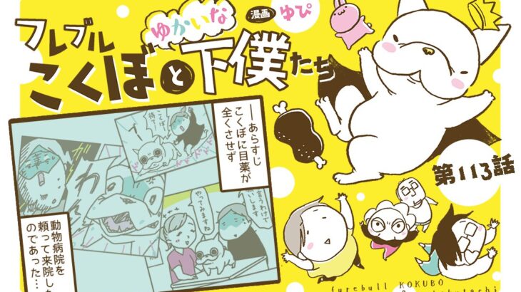 フレブルこくぼとゆかいな下僕たち【第113話】「こんな事で来院 2/2」(ブログ)