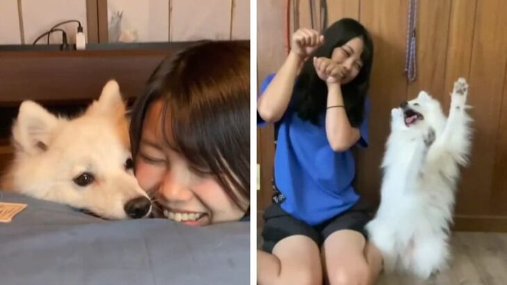 『いつのまにか親友になってた』その軌跡が1200万再生を突破！ワンコと飼い主さんの関係性に「なんか泣けてきた」「心が通じ合ってる」(ブログ)
