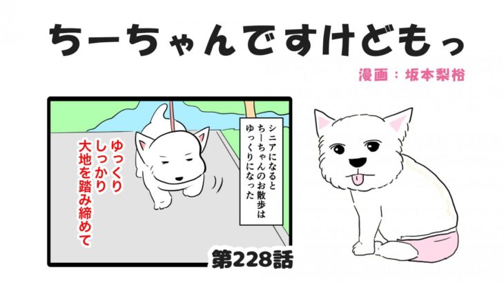 ちーちゃんですけどもっ【第228話】「シニア犬のお散歩」(ブログ)