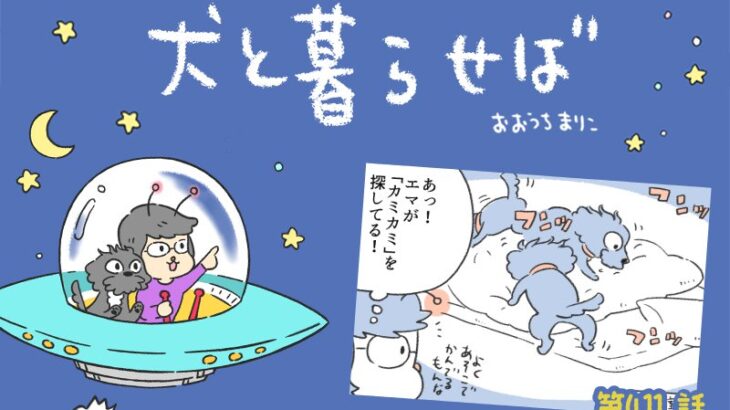 犬と暮らせば【第411話】「探し物はなんですか」(ブログ)