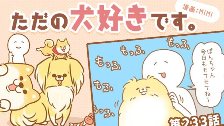 ただの犬好きです。【第233話】「見つけてしまった」(ブログ)