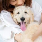 犬の『QOL』って何か知ってる？　愛犬の幸せ度を高めるためにできる２つのこと(ブログ)