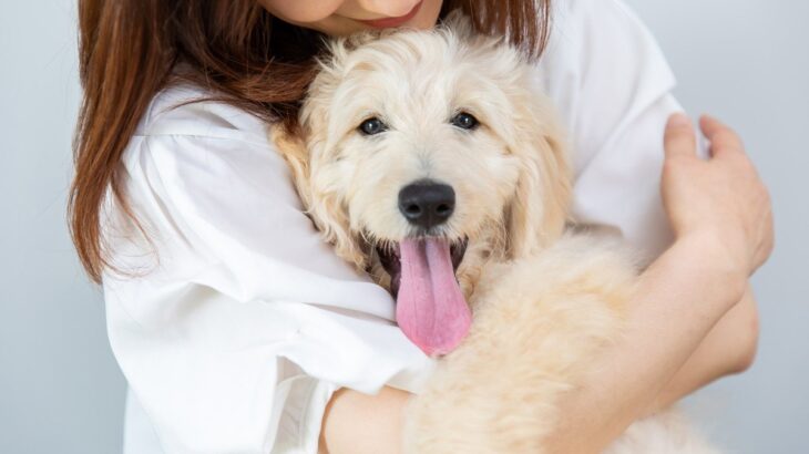犬の『QOL』って何か知ってる？　愛犬の幸せ度を高めるためにできる２つのこと(ブログ)