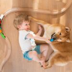 なぜ犬は『人間の赤ちゃん』に優しいの？　母性本能の強さに「性別は関係ないのね」「尊い関係」(ブログ)