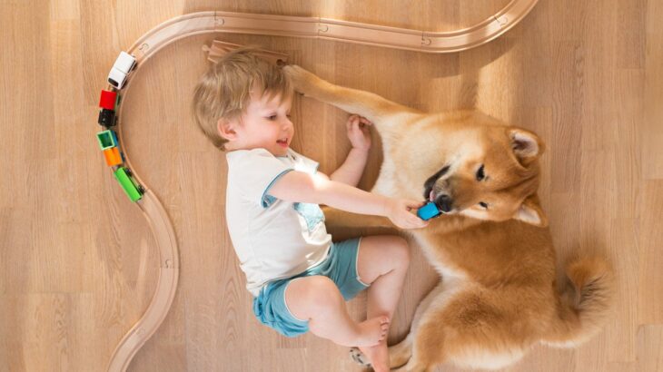 なぜ犬は『人間の赤ちゃん』に優しいの？　母性本能の強さに「性別は関係ないのね」「尊い関係」(ブログ)