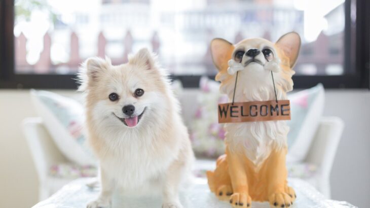 絶対に犬の置物を玄関に置いてはいけない！？その3つの理由に「マジかよ」「普通に置いてました」(ブログ)