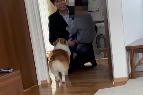 パパを取り合うワンコと4歳児が可愛いすぎると話題「パパ忙しいな～」「なんて平和なんや」196万人が羨望(ブログ)