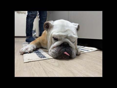 本日は、あの場所からライブ配信‼︎果たして最後まで無事ライブができるのか？？(YouTube)