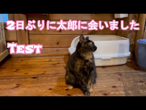 Test２日ぶりに太郎に会えました　2023 11 29(YouTube)