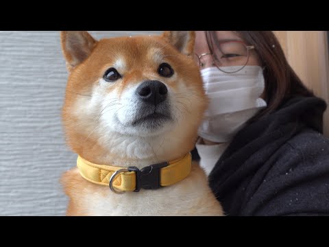 【初雪】いよいよこの時が来ました。(YouTube)